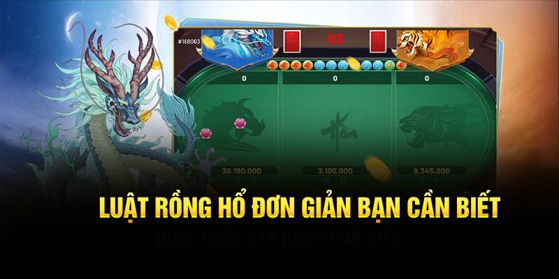 Luật rồng hổ đơn giản bạn cần biết