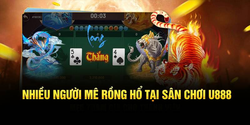 Nhiều người mê rồng hổ tại sân chơi U888 